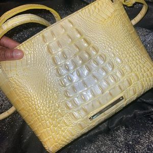Yellow Brahmin
